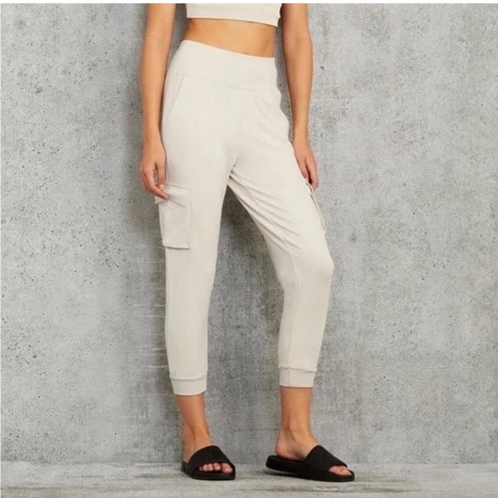 Alo Yoga super soft joggers EUC